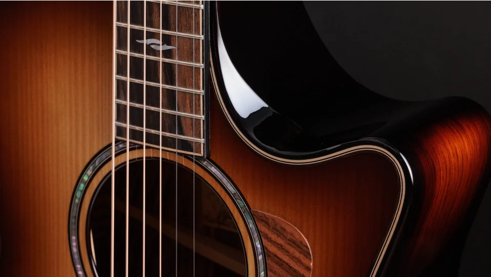 Taylor 814ce アコースティックギター ハードケース付 Taylor 814ce アコースティックギター ハードケース付 Taylor - 814ce